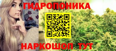 стафф Обнинск