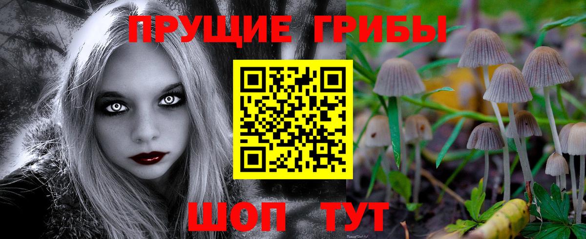 как найти наркотики  Вход с VPN  Псилоцибиновые грибы MAGIC MUSHROOMS  Сокол  Псилоцибиновые грибы Magic Shrooms 