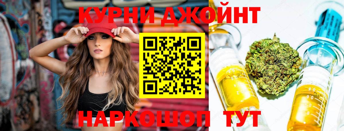 Бошки марихуана AK-47  Марихуана план  Вход с VPN  Сокол  Конопля сатива 